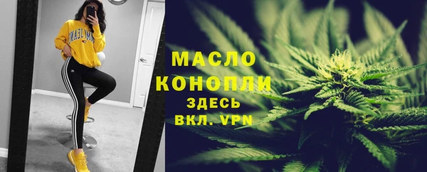прущие грибы Абаза