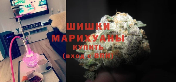 прущие грибы Абаза