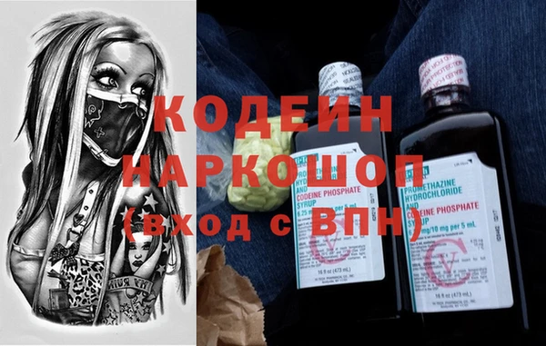 хмурый Алзамай