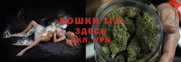 прущие грибы Абаза