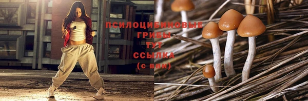 прущие грибы Абаза