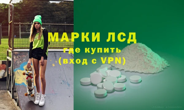 прущие грибы Абаза