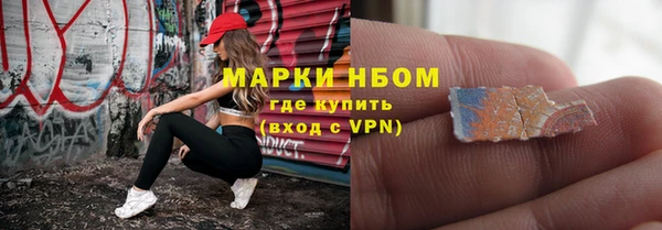 прущие грибы Абаза