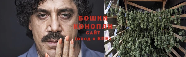 прущие грибы Абаза