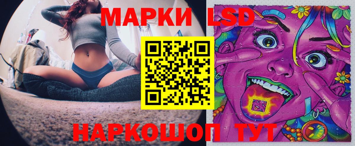 где можно купить наркотик  Марки 25I-NBOMe 1,5мг  Вход с VPN  Тында  Наркотические марки 