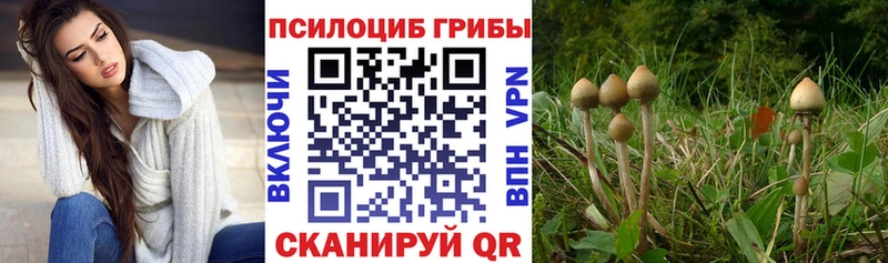 Галлюциногенные грибы GOLDEN TEACHER  hydra рабочий сайт  Тында 