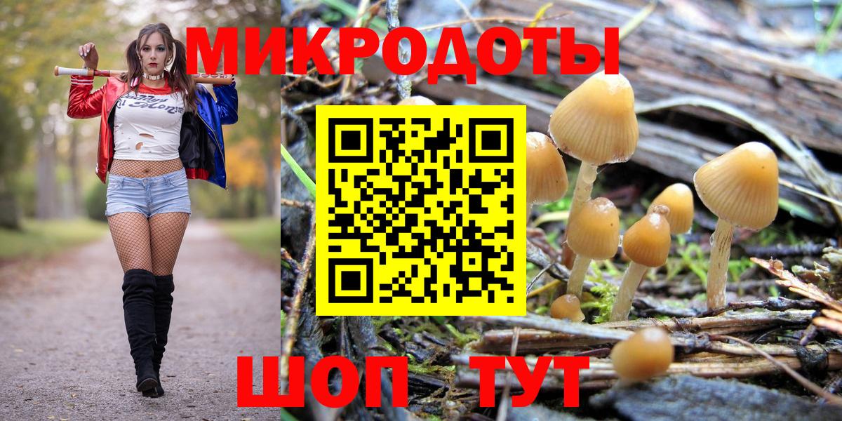 Тында  Псилоцибиновые грибы MAGIC MUSHROOMS  Псилоцибиновые грибы мицелий  Вход с VPN 
