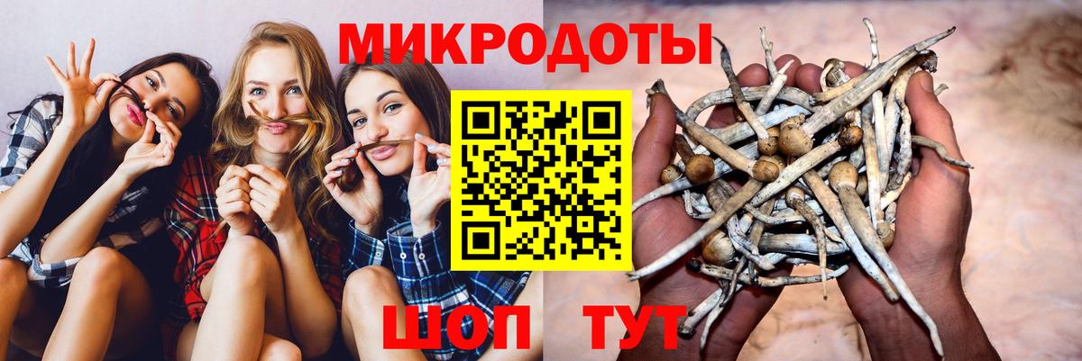 Псилоцибиновые грибы мухоморы Тында