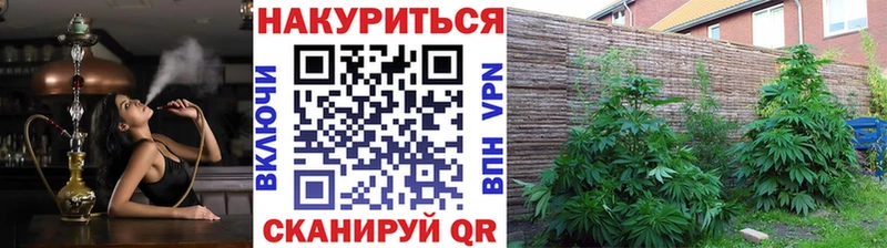 Конопля индика  это официальный сайт  Тында 